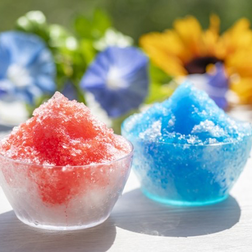 「梅雨の今からはじめる」夏のわたしの代謝改善術