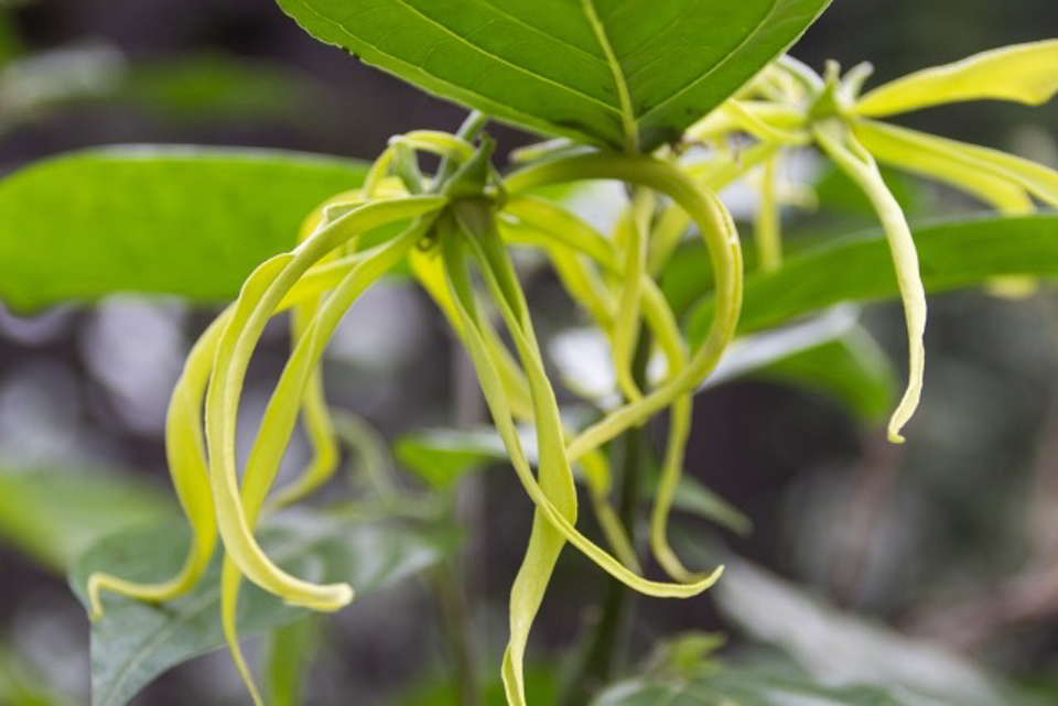 香りと丁寧なトリートメントで心身の“チューニング”を