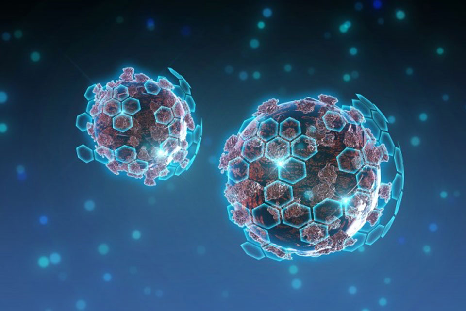 働くための燃料が不足した免疫細胞イメージ