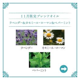 🌿11月のブレンドオイル🌿