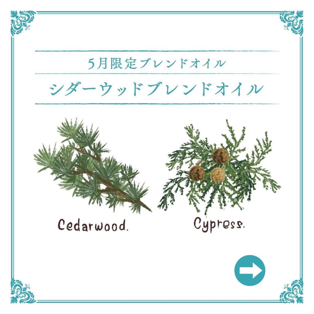 IASO5月のブレンドオイル